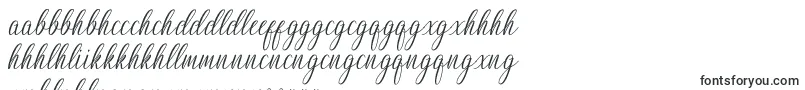 Шрифт Nightingale – зулу шрифты
