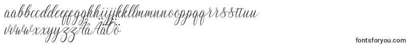 Шрифт Nightingale – шведские шрифты