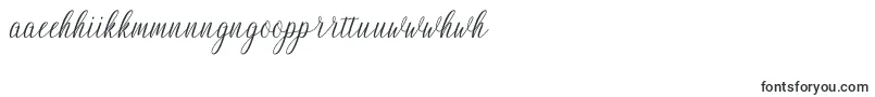 Шрифт Nightingale – маори шрифты