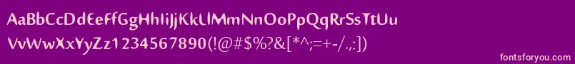 fuente Nillima – Fuentes Rosadas Sobre Fondo Morado