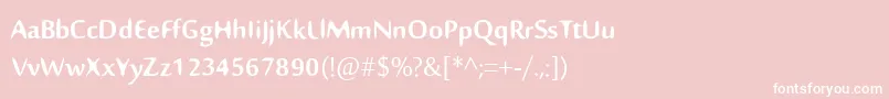 フォントNillima – ピンクの背景に白い文字