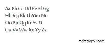 Обзор шрифта Nillima