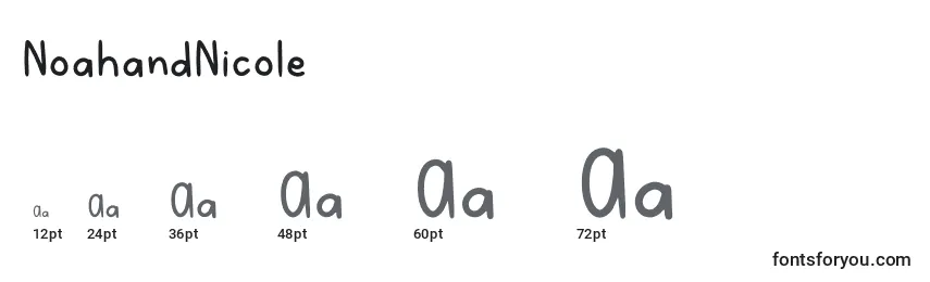 NoahandNicole Font Sizes
