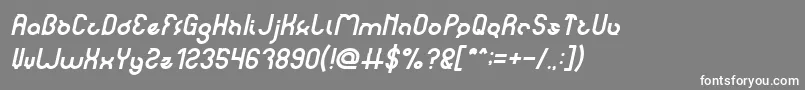 noakatz Italic Font – White Fonts on Gray Background