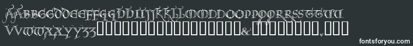 NOEL     Font – White Fonts