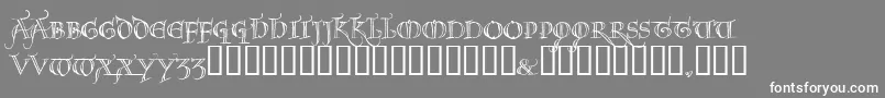 フォントNOEL     – 灰色の背景に白い文字