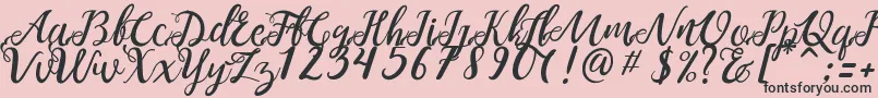 NOELAN 1 Font – Black Fonts on Pink Background