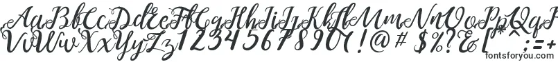 NOELAN 1-fontti – Fontit Adobe Muselle