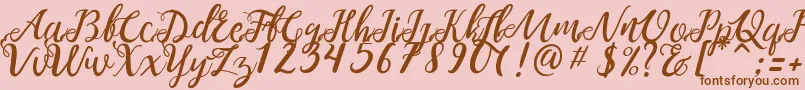 NOELAN 1 Font – Brown Fonts on Pink Background