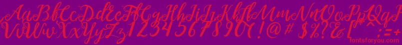 NOELAN 1-Schriftart – Rote Schriften auf violettem Hintergrund