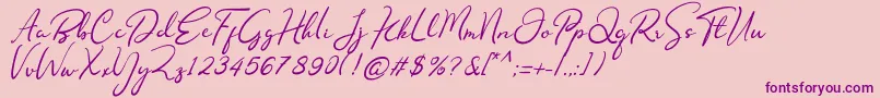 Nofhistica Font – Purple Fonts on Pink Background