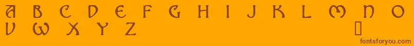 NOMAD    Font – Brown Fonts on Orange Background