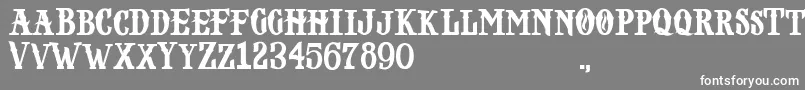 NOPIA DEMO Font – White Fonts on Gray Background
