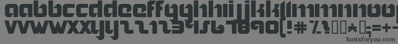 NORDIC   Font – Black Fonts on Gray Background