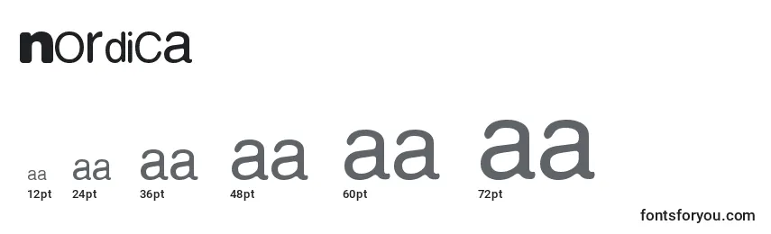 Размеры шрифта Nordica