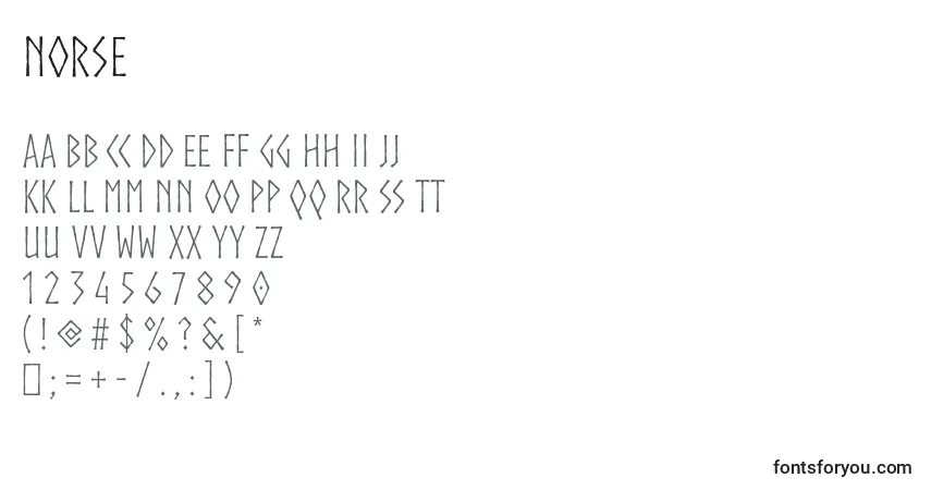 Schriftart Norse (135711) – Alphabet, Zahlen, spezielle Symbole