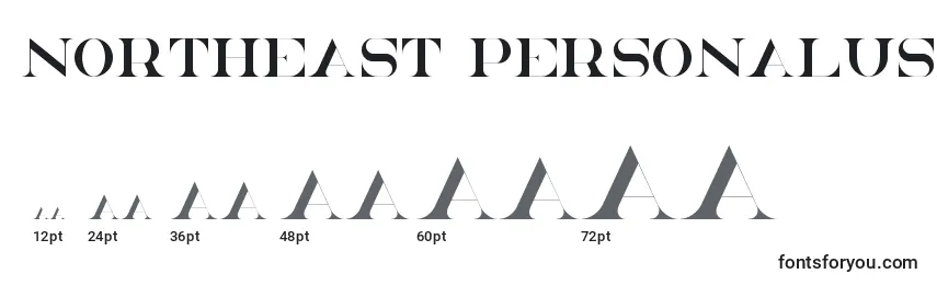 NorthEast PersonalUse Font Sizes
