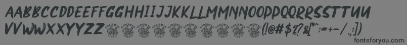 NORTHEN Font – Black Fonts on Gray Background