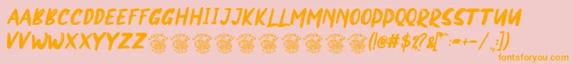 NORTHEN Font – Orange Fonts on Pink Background