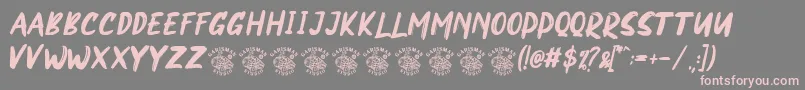 NORTHEN Font – Pink Fonts on Gray Background