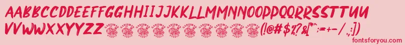 NORTHEN Font – Red Fonts on Pink Background