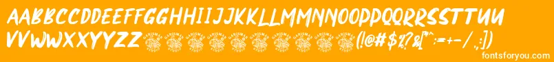 NORTHEN Font – White Fonts on Orange Background