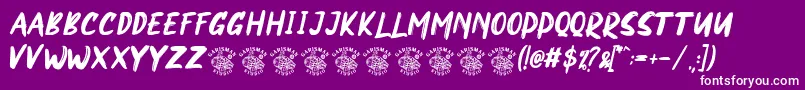 NORTHEN Font – White Fonts on Purple Background