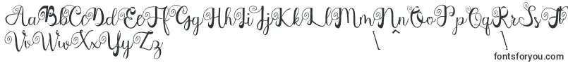 Czcionka Northern Europe – czcionki kaligraficzne