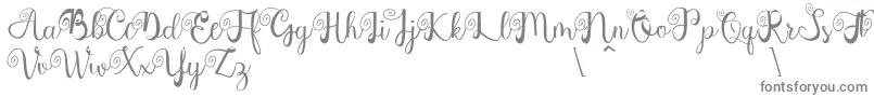 Northern Europe-fontti – harmaat kirjasimet valkoisella taustalla