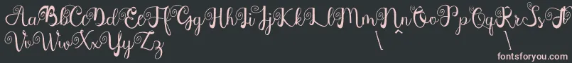 Northern Europe Font – Pink Fonts on Black Background