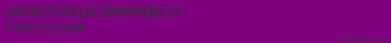 Czcionka NORTHERN PARLIAMENT – czarne czcionki na fioletowym tle