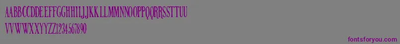 NORTHERN PARLIAMENT Font – Purple Fonts on Gray Background