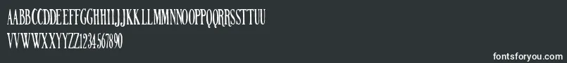 NORTHERN PARLIAMENT Font – White Fonts on Black Background