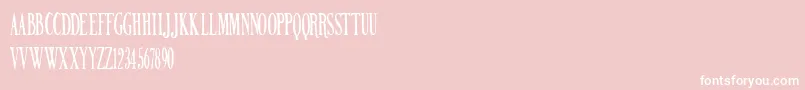フォントNORTHERN PARLIAMENT – ピンクの背景に白い文字