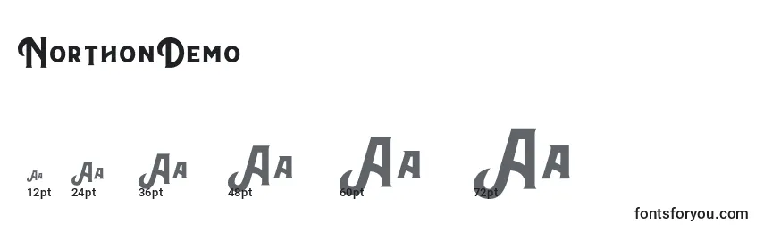 NorthonDemo Font Sizes