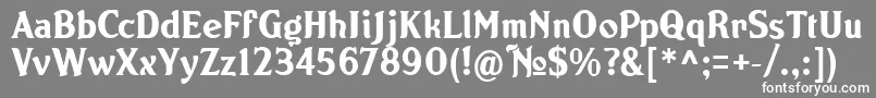NORTON   Font – White Fonts on Gray Background