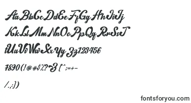 norty font – uppercase Fonts