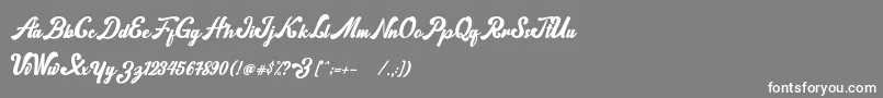 More about norty Font norty Font – White Fonts on Gray Background