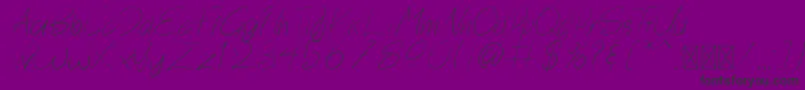 Nosa Font – Black Fonts on Purple Background