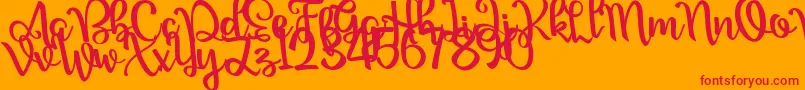 Nour Manise Font – Red Fonts on Orange Background