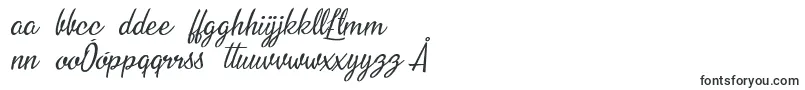 fuente Nouvelle Vague Personal Use – fuentes polaca