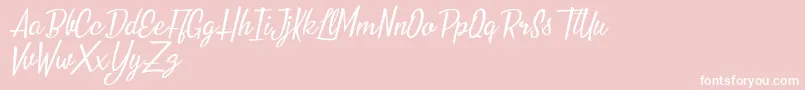 Nouvelle Vague Personal Use-Schriftart – Weiße Schriften auf rosa Hintergrund