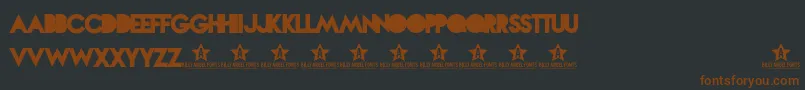 NOVASOLID TRIAL    Font – Brown Fonts on Black Background