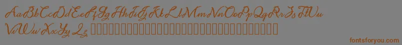 フォントNoviyani Demo – 茶色の文字が灰色の背景にあります。