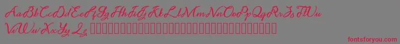 fuente Noviyani Demo – Fuentes Rojas Sobre Fondo Gris