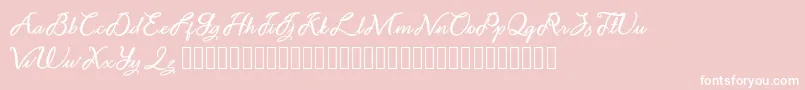 Noviyani Demo-Schriftart – Weiße Schriften auf rosa Hintergrund