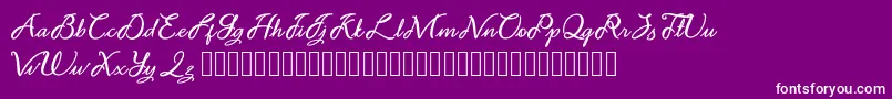 fuente Noviyani Demo – Fuentes Blancas Sobre Fondo Morado