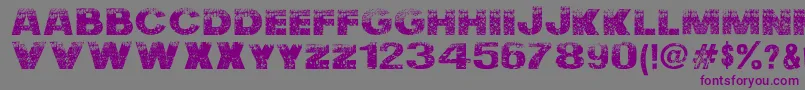 Nuclear  Accident-fontti – violetit fontit harmaalla taustalla