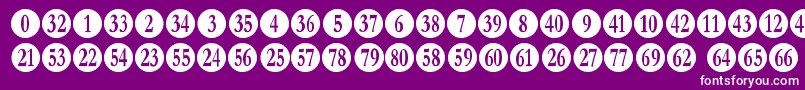 numberpile Font – White Fonts on Purple Background