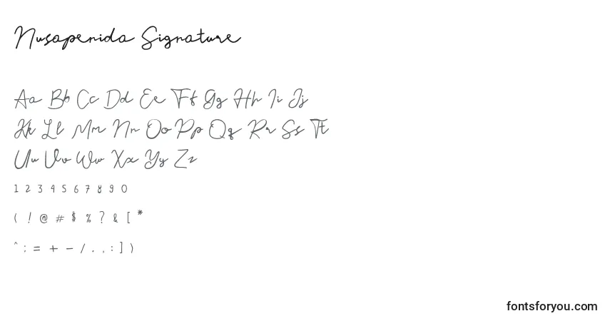 A fonte Nusapenida Signature – alfabeto, números, caracteres especiais